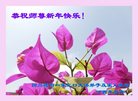 ֹ,Ĵ󷨵ӹףʦ(22)