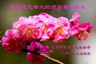 Published on 12/31/2016 ���ֹ�,����ҵ�󷨵��ӹ�ףʦ�������(33��)