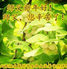 Published on 12/29/2016 ���ֹ�,��½�󷨵��ӹ�ףʦ�������(34��)