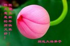 Published on 12/29/2016 ���ֹ�,��½�󷨵��ӹ�ףʦ�������(34��)
