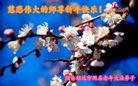 Published on 12/29/2016 ���ֹ�,��½�󷨵��ӹ�ףʦ�������(32��)