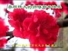 Published on 12/30/2016 ���ֹ�,����ϵͳ�󷨵��ӹ�ףʦ�������(24��)