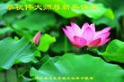 Published on 12/30/2016 ���ֹ�,����ҵ�󷨵��ӹ�ףʦ�������(29��)