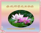 Published on 12/30/2016 ���ֹ�,��ѩӭ˪������ʤ��������ҵ�󷨵��ӹ���ʦ�������