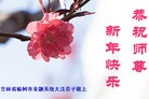 Published on 12/30/2016 ���ֹ�,��ѩӭ˪������ʤ��������ҵ�󷨵��ӹ���ʦ�������