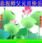 Published on 12/29/2016 ���ֹ�,���󷨵��ӹ�ףʦ�������(25��)