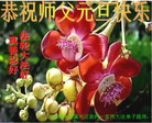 Published on 12/29/2016 ���ֹ�,���󷨵��ӹ�ףʦ�������(25��)