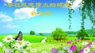 Published on 12/31/2016 ���ֹ�,��ѧԱ��ףʦ�������(25��)
