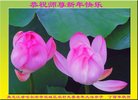 Published on 12/30/2016 ���ֹ�,���󷨵��ӹ�ףʦ�������(28��)