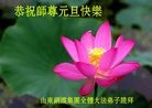 Published on 12/30/2016 ���ֹ�,��ѩӭ˪������ʤ��������ҵ�󷨵��ӹ���ʦ�������