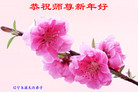 Published on 12/30/2016 ���ֹ�,��½�󷨵��ӹ�ףʦ�������(33��)