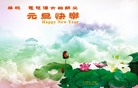 Published on 12/29/2016 ���ֹ�,��½�󷨵��ӹ�ףʦ�������(38��)