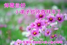 Published on 12/29/2016 ���ֹ�,2017��Ԫ���ؿ�������һ��