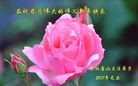 Published on 12/31/2016 ���ֹ�,2017��Ԫ���ؿ�����������