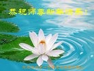 Published on 12/30/2016 ���ֹ�,��½��ͥ���ϵ�󷨵��ӹ�ףʦ���������