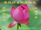 Published on 12/30/2016 ���ֹ�,��½�󷨵��ӹ�ףʦ�������(33��)