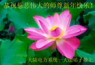 Published on 12/29/2016 ���ֹ�,��½�󷨵��ӹ�ףʦ�������(38��)