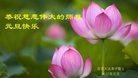 Published on 12/29/2016 ���ֹ�,��½�󷨵��ӹ�ףʦ�������(38��)