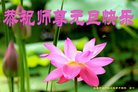 Published on 12/29/2016 ���ֹ�,��½�󷨵��ӹ�ףʦ�������(38��)