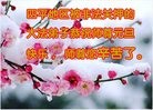 Published on 12/31/2016 ���ֹ�,�Ƿ���Ѻ�󷨵��ӹ�ףʦ�������(22��)