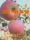 Published on 12/29/2016 ���ֹ�,��½�󷨵��ӹ�ףʦ�������(32��)