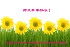 Published on 12/30/2016 ���ֹ�,�������弸���˸ж�ʦ��