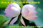 Published on 12/30/2016 ���ֹ�,��½�󷨵��ӹ�ףʦ�������(37��)
