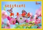 Published on 12/30/2016 ���ֹ�,ũ��󷨵��ӹ�ףʦ��������֣�