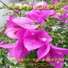 Published on 12/30/2016 ���ֹ�,��½�󷨵��ӹ�ףʦ�������(35��)