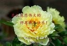 Published on 1/1/2017 ���ֹ�,����ϵͳ�󷨵��ӹ�ףʦ�������(29��)