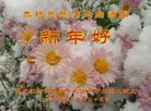 Published on 12/29/2016 ���ֹ�,��½�󷨵��ӹ�ףʦ�������(42��)