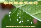 Published on 12/30/2016 ���ֹ�,��½�󷨵��ӹ�ףʦ�������(33��)
