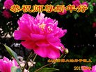 Published on 12/30/2016 ���ֹ�,��½�󷨵��ӹ�ףʦ�������(33��)
