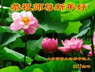 Published on 12/30/2016 ���ֹ�,��½�󷨵��ӹ�ףʦ�������(33��)