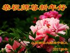 Published on 12/30/2016 ���ֹ�,��½�󷨵��ӹ�ףʦ�������(33��)