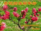 Published on 12/30/2016 ���ֹ�,��½�󷨵��ӹ�ףʦ�������(33��)