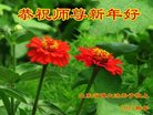 Published on 12/30/2016 ���ֹ�,��½�󷨵��ӹ�ףʦ�������(33��)