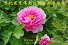 Published on 12/30/2016 ���ֹ�,��½�󷨵��ӹ�ףʦ�������(33��)