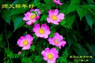 Published on 12/30/2016 ���ֹ�,��½�󷨵��ӹ�ףʦ�������(33��)