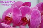 Published on 12/30/2016 ���ֹ�,��½�󷨵��ӹ�ףʦ�������(33��)