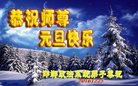 Published on 12/31/2016 ���ֹ�,��½�󷨵��ӹ�ףʦ�������(34��)