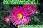 Published on 12/30/2016 ���ֹ�,��½�󷨵��ӹ�ףʦ�������(33��)