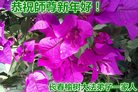 Published on 12/30/2016 ���ֹ�,��½�󷨵��ӹ�ףʦ�������(33��)