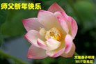 Published on 12/30/2016 ���ֹ�,��½�󷨵��ӹ�ףʦ�������(33��)
