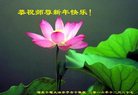 Published on 12/30/2016 ���ֹ�,��½�󷨵��ӹ�ףʦ�������(33��)