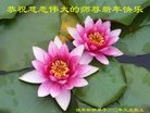 Published on 12/29/2016 ���ֹ�,��½�󷨵��ӹ�ףʦ�������(36��)