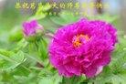 Published on 12/29/2016 ���ֹ�,��½�󷨵��ӹ�ףʦ�������(36��)