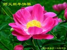 Published on 12/29/2016 ���ֹ�,��½�󷨵��ӹ�ףʦ�������(36��)