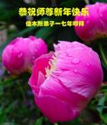 Published on 12/29/2016 ���ֹ�,��½�󷨵��ӹ�ףʦ�������(36��)