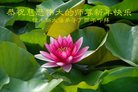 Published on 12/29/2016 ���ֹ�,��½�󷨵��ӹ�ףʦ�������(36��)